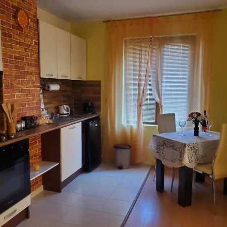 уютно и просторно студио 아파트 라브다