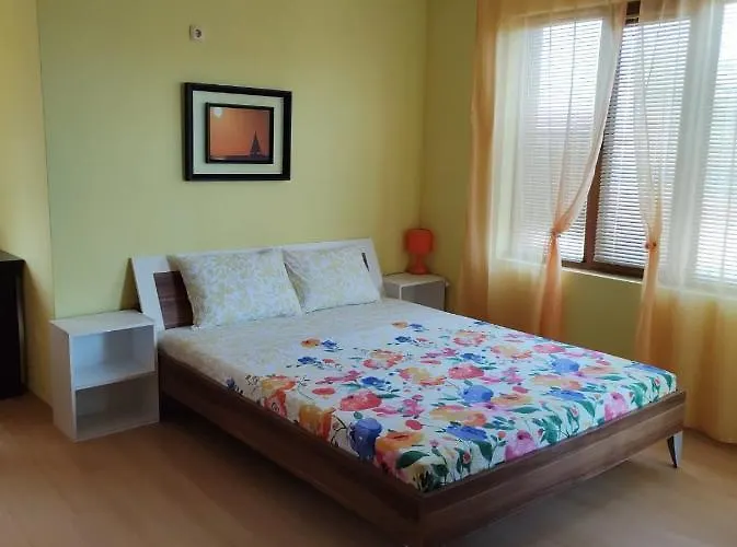 уютно и просторно студио 公寓 *